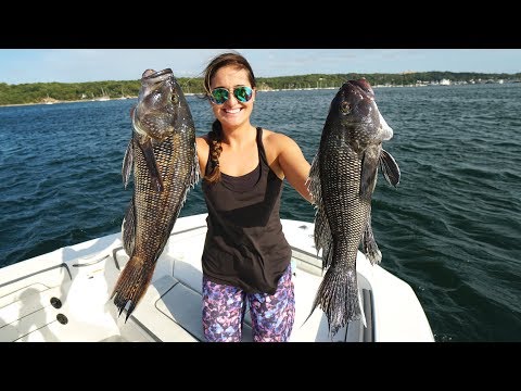 sea-bass-catch-clean-&-cook-best-fish-recipe!!-port-jefferson,-new-york!