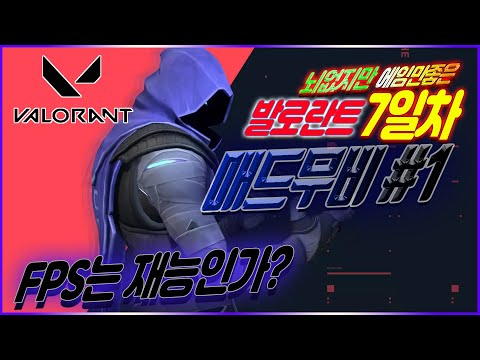 뇌없는 FPS고인물의 발로란트 하이라이트ㅣ레피 발로란트 매드무비#1