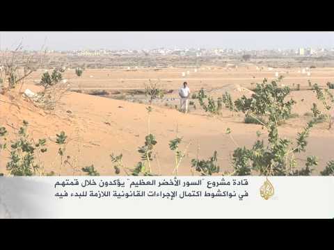 اكتمال الإجراءات القانونية لمشروع "السور الأخضر العظيم"