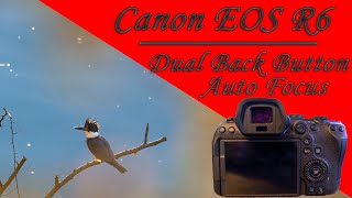 Celebrity Canon EOS R6 | Dual Back Button Auto Focus | Wildlife Setup Profile