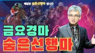 6월27일 금요경마!! 숨은선행마를 찾아라!!(라이벌 기수들의 우승 다툼속 변수가능성 매력적인 날돌)#경마#한승부경마#숨은선행마#경마분석