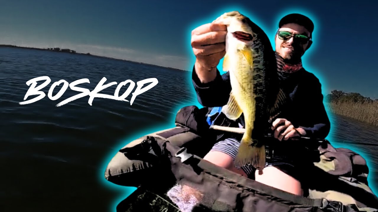 VISkunde - Boskop dam BASS FISHING!