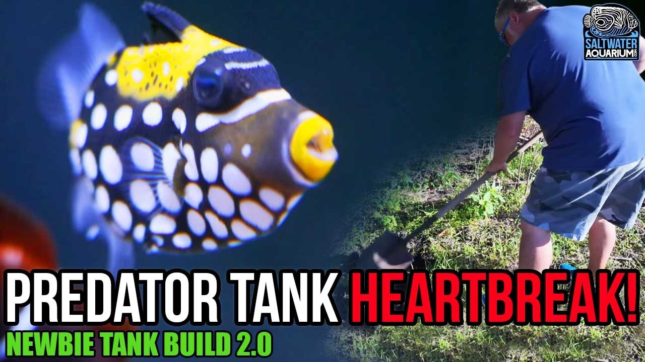 Душераздирающая потеря в моём танке Predator | Сборка танка для новичков 2.0