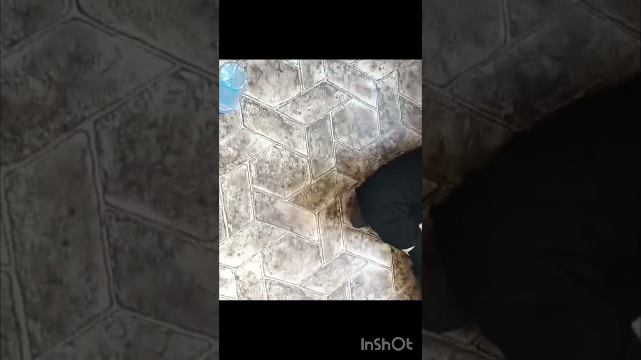 Поставил бутылку на крышку в школе