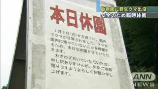 動物園に野生クマ出没　安全のため臨時休園（10/07/06）