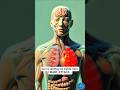 Heart Attack Warning Signs You Must Know | Early Symptoms &amp; Prevention #health3d