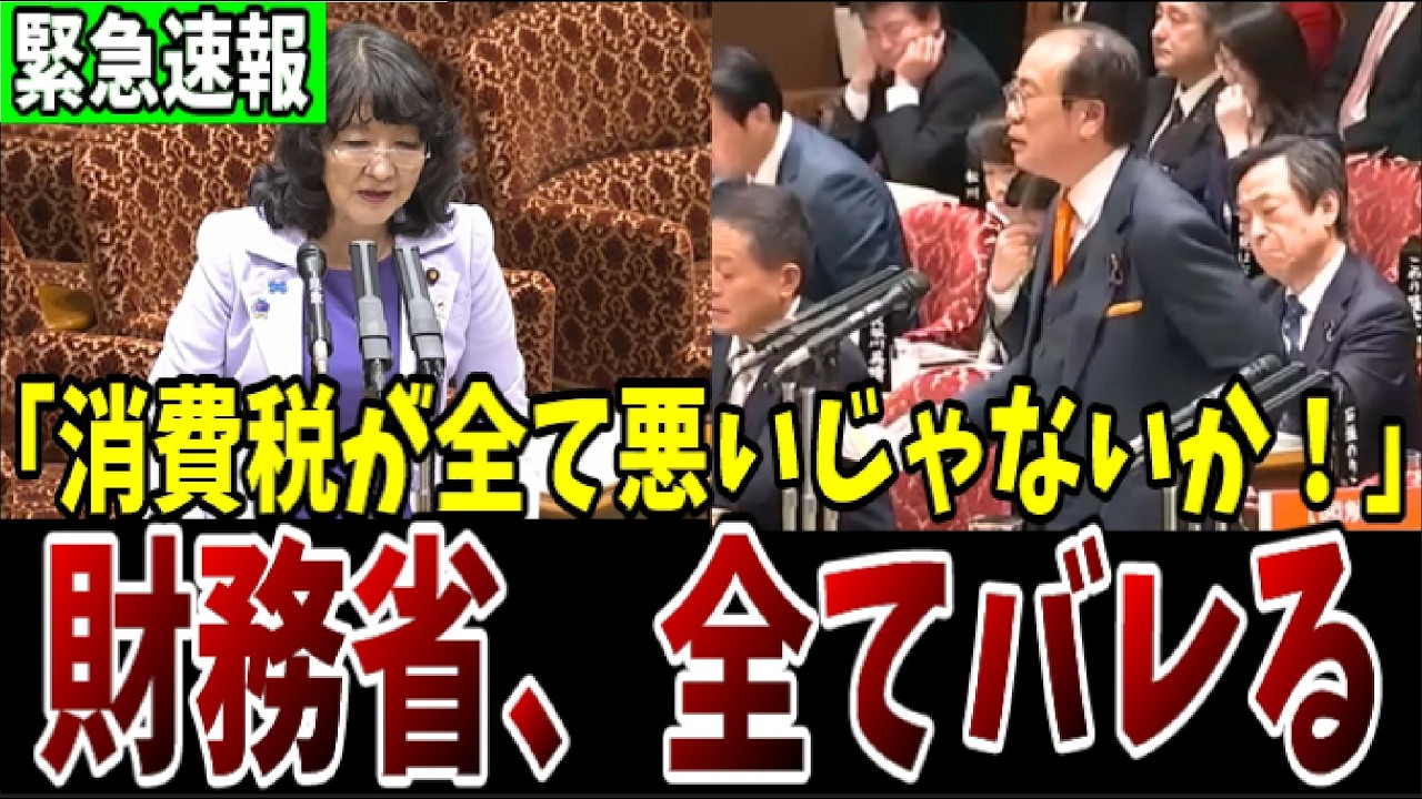 【核心の質疑】消費税が全て悪いじゃないか!参政党・安藤議員が消費税の実態について国会で暴露して財務省を追い込んだ結果…