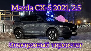 Электронный термостат Mazda CX-5 2021. Webasto TTE Start, постоянно циркулирует по большому кругу.