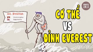 Đỉnh Everest tác động gì lên cơ thể? | Luyện nghe Tiếng Anh song ngữ | TED Ed