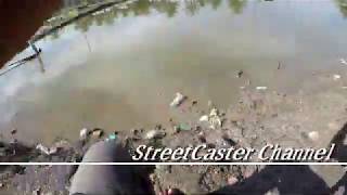 Teknik Casting siakap guna soft plastic v107 screenshot 1