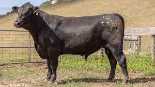 LOT 4 SYR22T38 TOOPERANGUS BC TANUNDA 2024