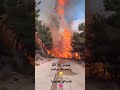 معليش إلك الله والملايكة حراسك حرائق سوريا