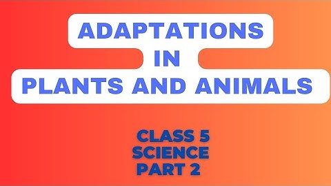 Adaptations in Plants and Animals|part(2)|class5|Science