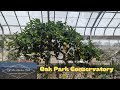 Oak Park Conservatory (plants from around the world)