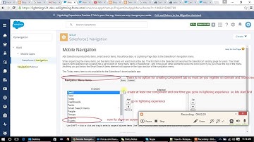 Enable Lightning Component Tabs and create a component tab in Navigation Part2