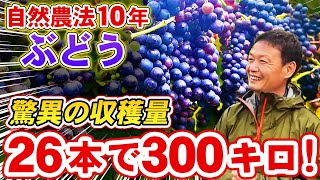 骨壷(野菜作りが趣味の方) 81+9Zylb72L._AC_UF350,