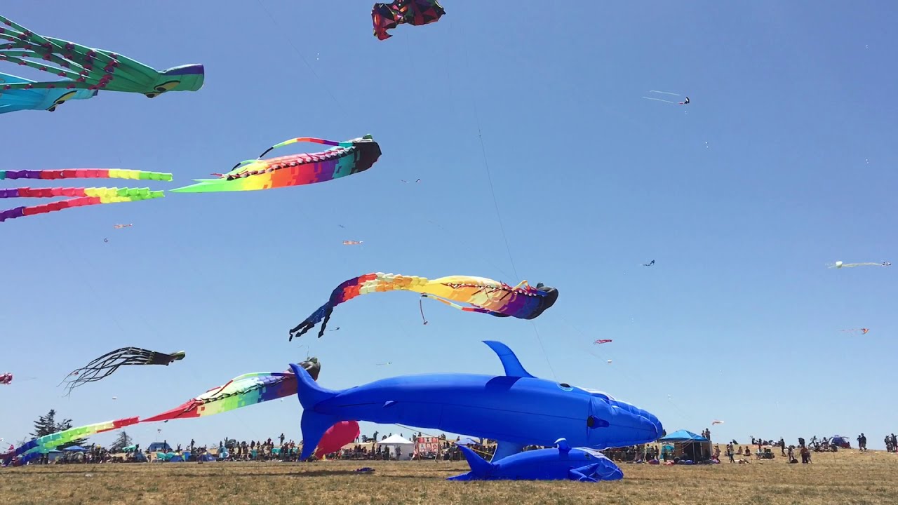 FEST Berkeley Kite Festival 2019. California. America YouTube