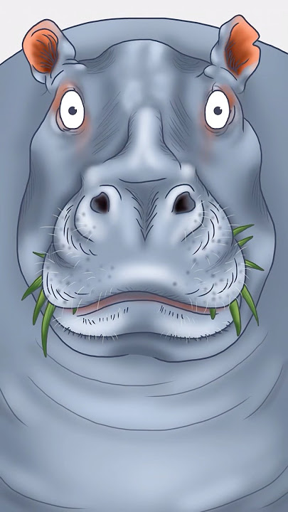 Hide and Poop: A Safari Surprise 😁 #animation #hippo