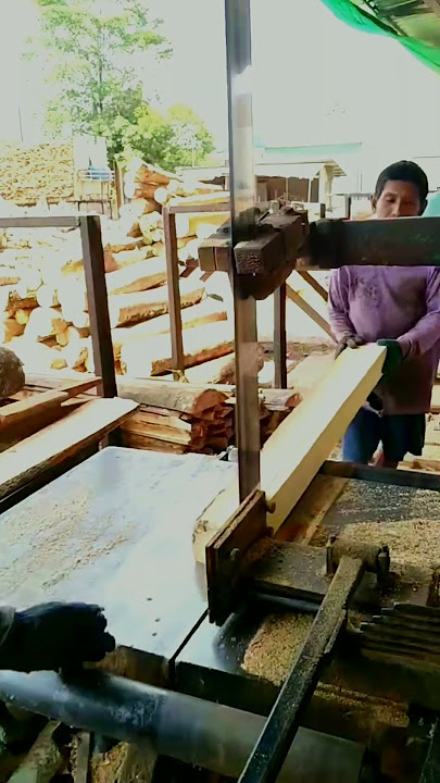 Aktivitas pagi di pabrik kayu lapis part 559