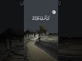 رب أغفر لي ولوالدي وللمؤمنين والمؤمنات الأحياء منهم والأموات تلاوة خاشعة خالد الجليل لايك Shorts رب أغفر لي ولوالدي وللمؤمنين والمؤمنات الأحياء منهم والأموات تلاوة خاشعة خالد الجليل لايك Shorts
