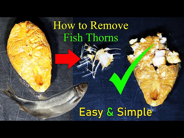 Does Rohu Fish Have Bones? Everything You Need to Know