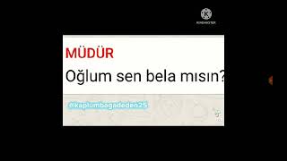 🐢Neden Kaplumbağa Deden Akımı