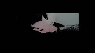 White Boy/Man Rythmic Set ( Low Brow Entertainment Inc )