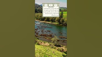 #سورة_التكاثر #احمد_العجمي #اكسبلور #قرآن_كريم #راحة_نفسية #alquran #relaxing