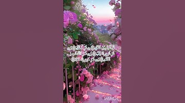 سورة الفلق بصوت جميل #متع سمعك