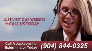 Pest Control Jacksonville, FL 32218