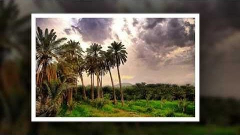 الشيخ محمد سلمان الدهاس سورة المؤمنون كاملة 1436 هـ جامع العريفي