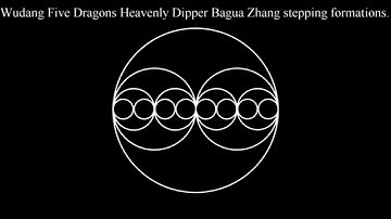 Wudang BAGUAZHANG "Five Dragons Heavenly Dipper"