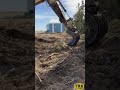 Customer Tries Out Scoop Rake