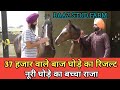 देखिए 37 हजार के घोड़े Stallion Baaz का रिजल्ट - Baaz Stud Farm