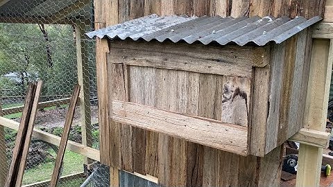 Chicken Coop Build - Build the Nesting Box and Start the Wall Cladding - Urban Garden Build