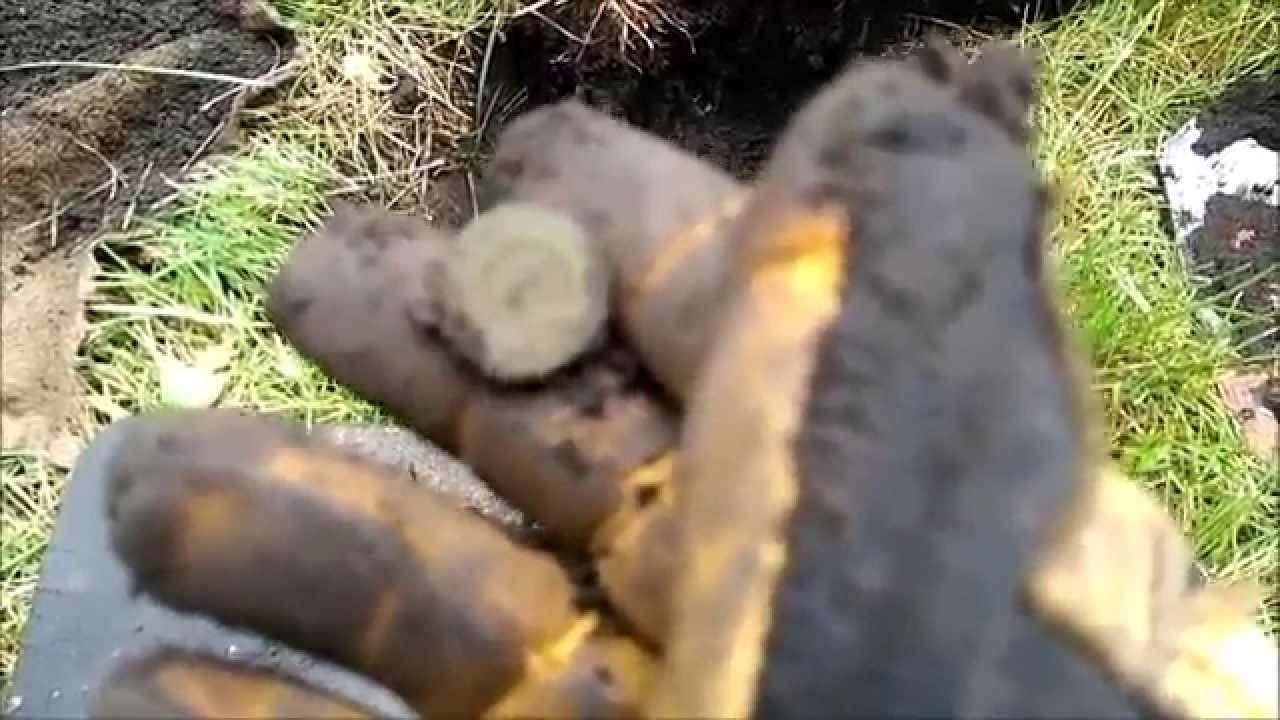 Metal Detecting Iowa Couple Good Finds + Accidental Geocache YouTube