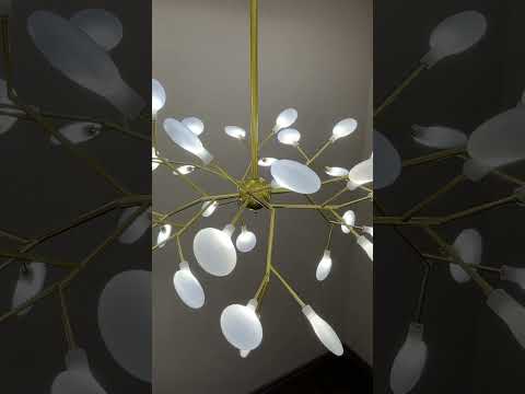 Золота люстра з білими пелюстками на 36 ламп (918-LP262-36 GD+WH), видео 1