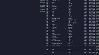 Experimenting with Clang and LLVM Binary Utilities — Dev Log 8 — glaucus Linux