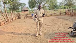 stocking rate of goats per flock or house ( ideal number of goats per house )its advantage