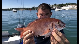 Sea Fishing UK  How to catch RARE COUCHE BREAM  Estuary fishing | The Fish Locker