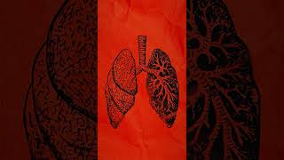 Pig Lung Transplanted Into Human