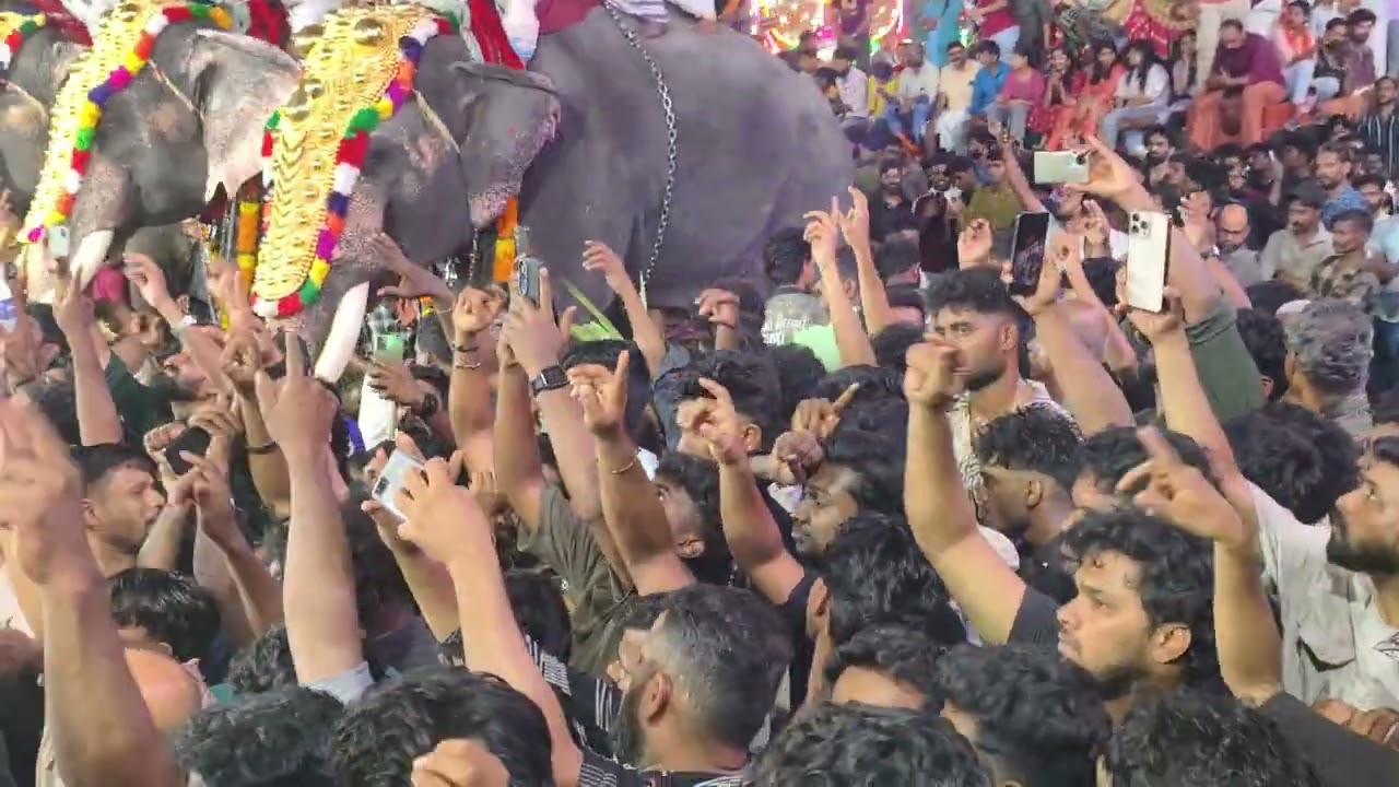 ഇങ്ങനെ ഒരു മേളം നടക്കുമ്പോൾ ഇത്രയും ജനം അത് ആസ്വദിക്കുണ്ടേൽ അത് #pariyanampatta 