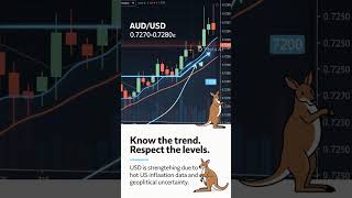 AUD/USD Forecast: Correction Could Extend to 0.7200 — Pablo Piovano
