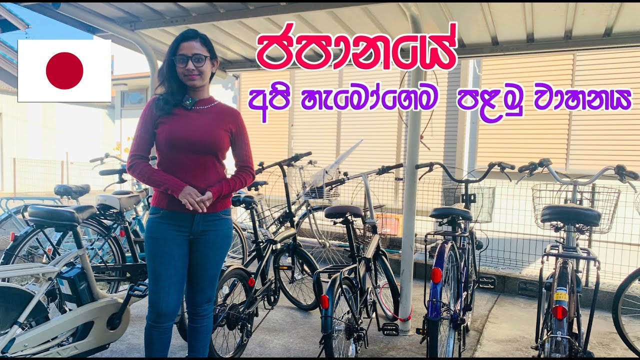 ජපානයේදි පාපැදියක් මිලදී ගැනීම සිදු කරන්නේ මෙහෙමයි | How To Buy Bicycle In Japan | LIFE IN JAPAN 🇯🇵