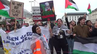 Palestinian counter-protest against the German liberal FDP party in Karlsruhe during an FDP event