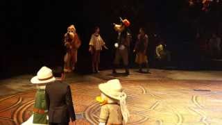獅子王慶典尊貴特別場Exclusive Festival of the Lion King@Hong Kong Disneyland (Opening)
