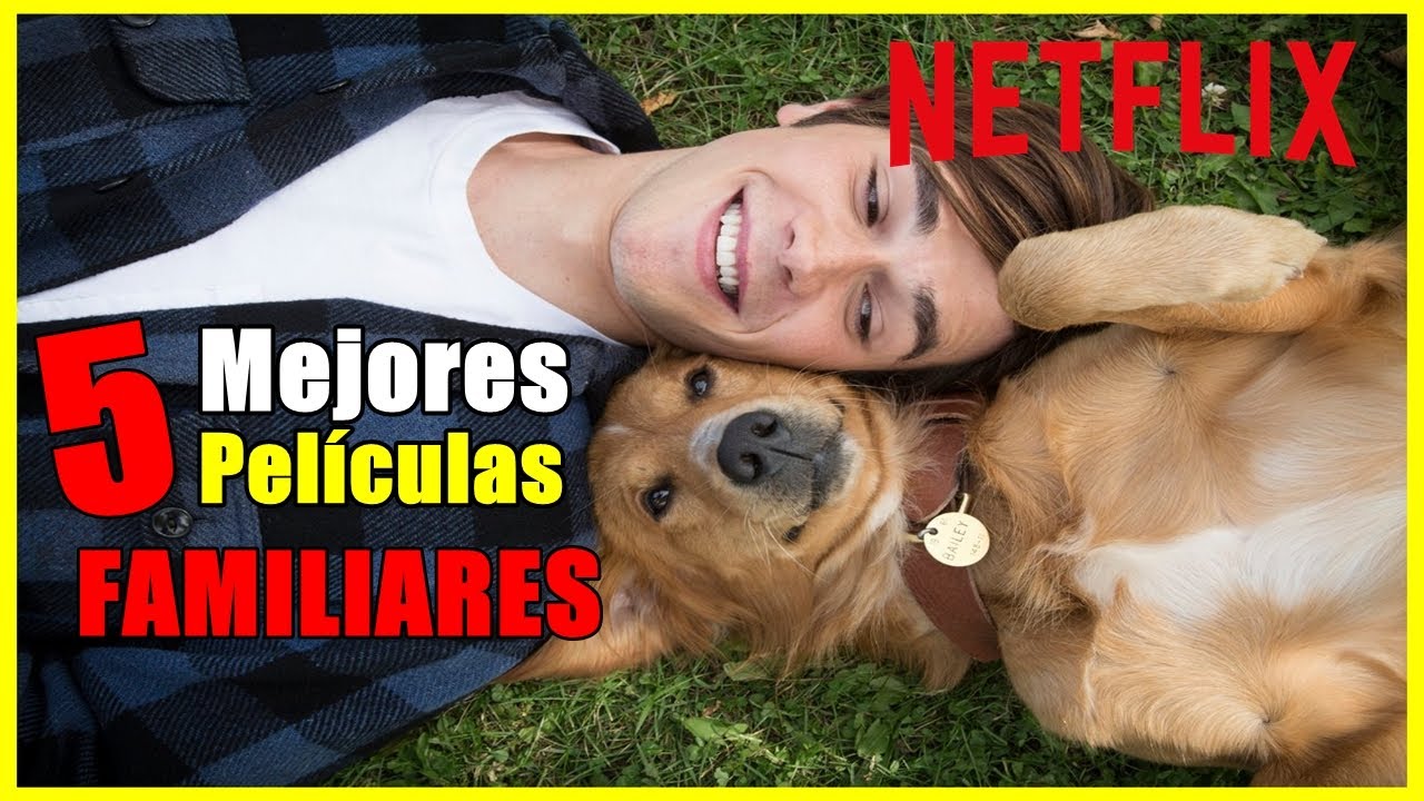 TOP 5 Mejores Películas para ver en familia de Netflix - YouTube