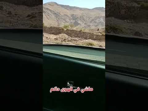 ماشي في الهوى حاكم عدل ينصف المظلوم جلسة طربية اغاني يمنيه روعه ترند الاغاني ايوبيات