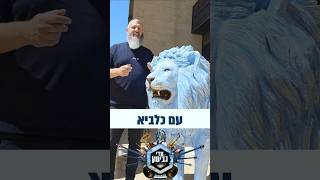 עדי גביסון - עם כלביא 🇮🇱 / ביט על הפרשה | Adi Gabison