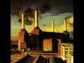 Pink floyd  pigs three different ones
